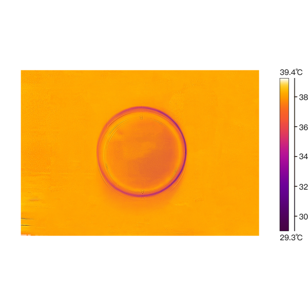 Oocyte Sorting or Other Use 