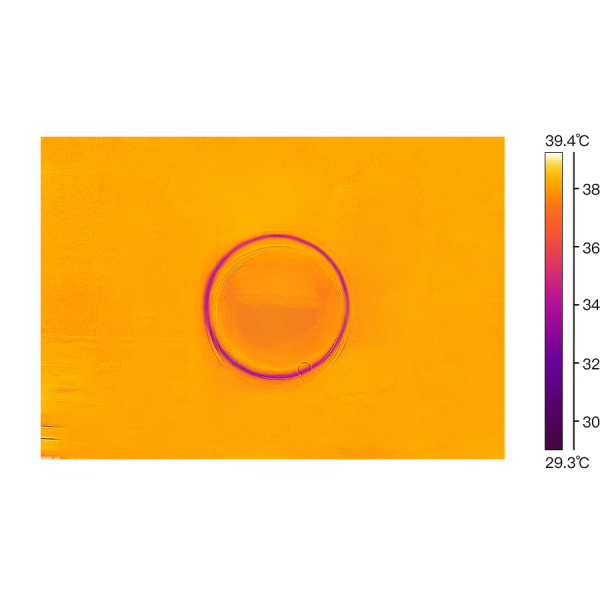 Embryo Culture&Picking 