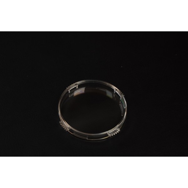 ICSI or Embryo Culture 