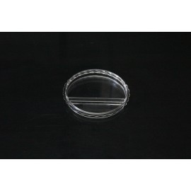ICSI Fertilization