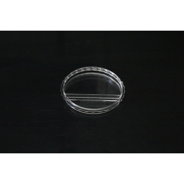 ICSI Fertilization