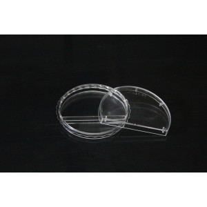 ICSI Fertilization