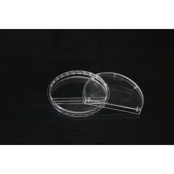 ICSI Fertilization 